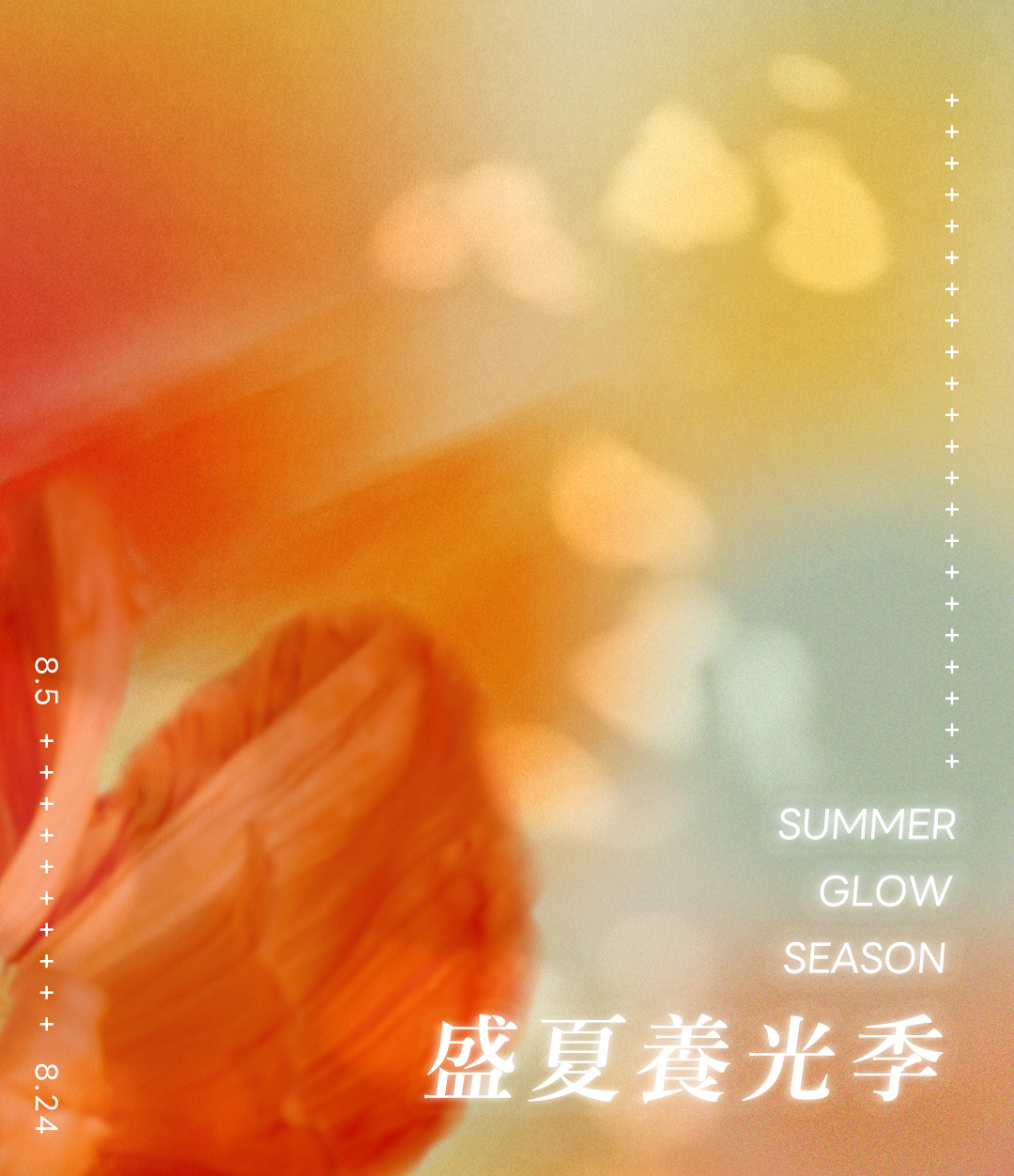 OHMO 盛夏養光季 SUMMER GLOW SEASON 活動主視覺，活動期間 8.5 至 8.24
