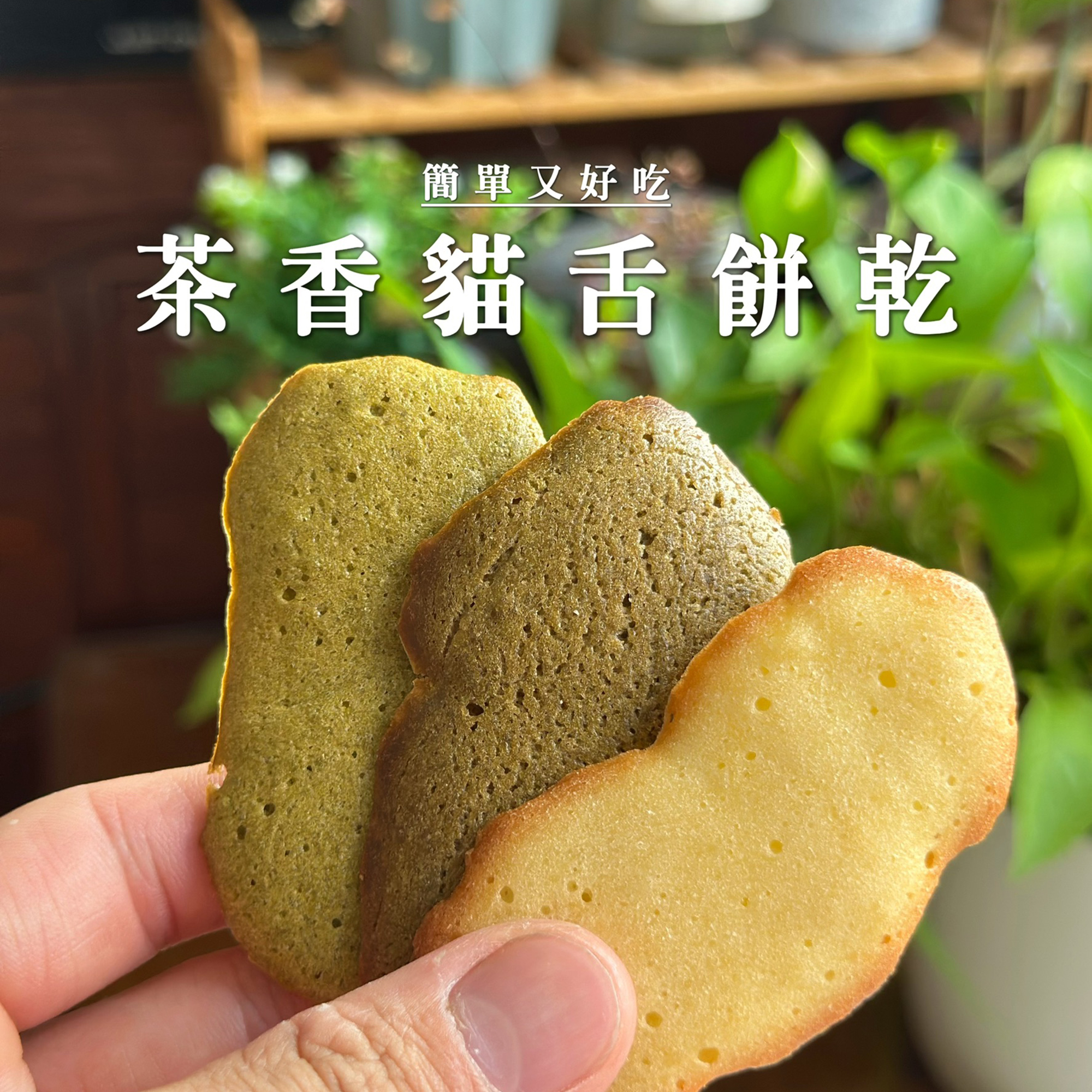 小比利｜ 茶香貓舌餅乾