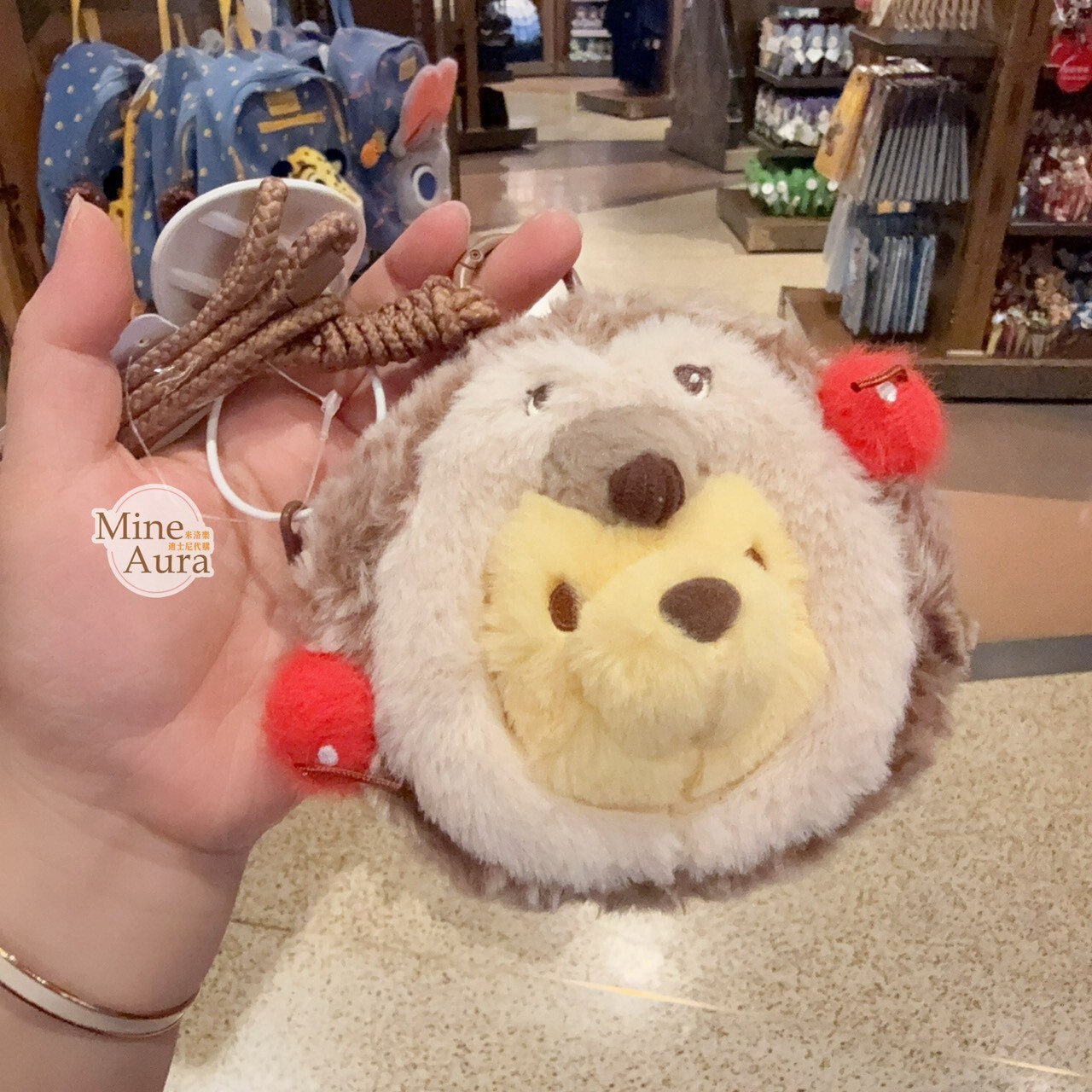 刺蝟系列 小熊維尼 Winnie the Pooh 大頭 造型 票卡包 零錢包 -上海迪士尼樂園