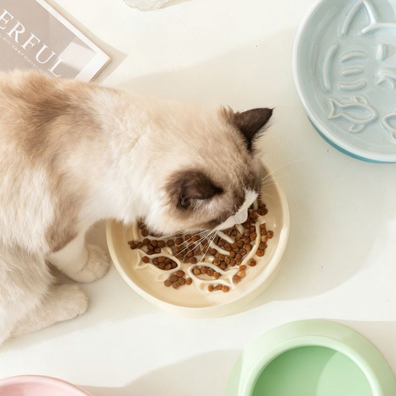 HOCC TRUMPET-SHAPED ELEVATED SLOW FEED PET BOWL