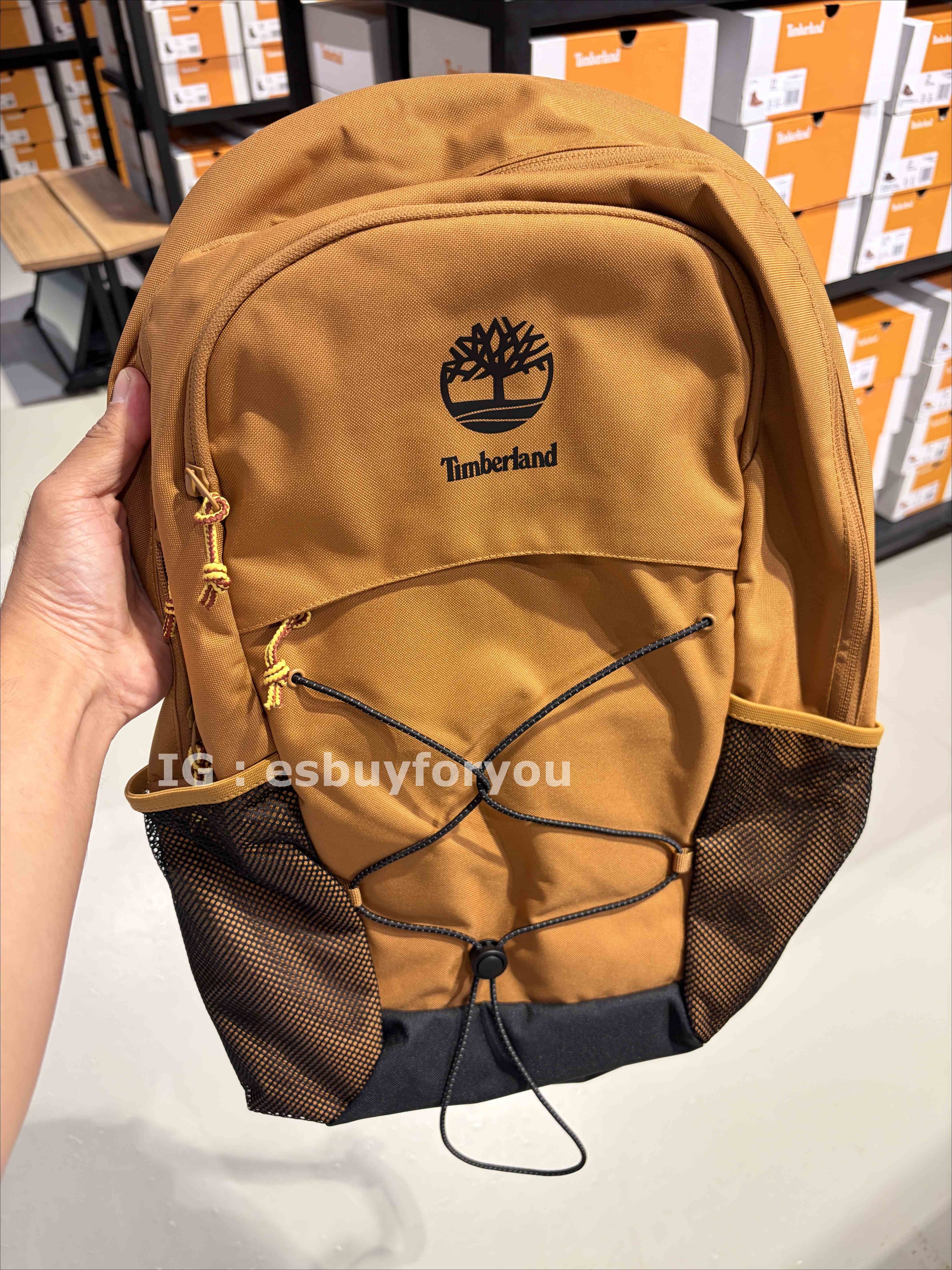 Timberland 大人 經典小樹LOGO 後背包 (2色) (可放15吋筆電)
