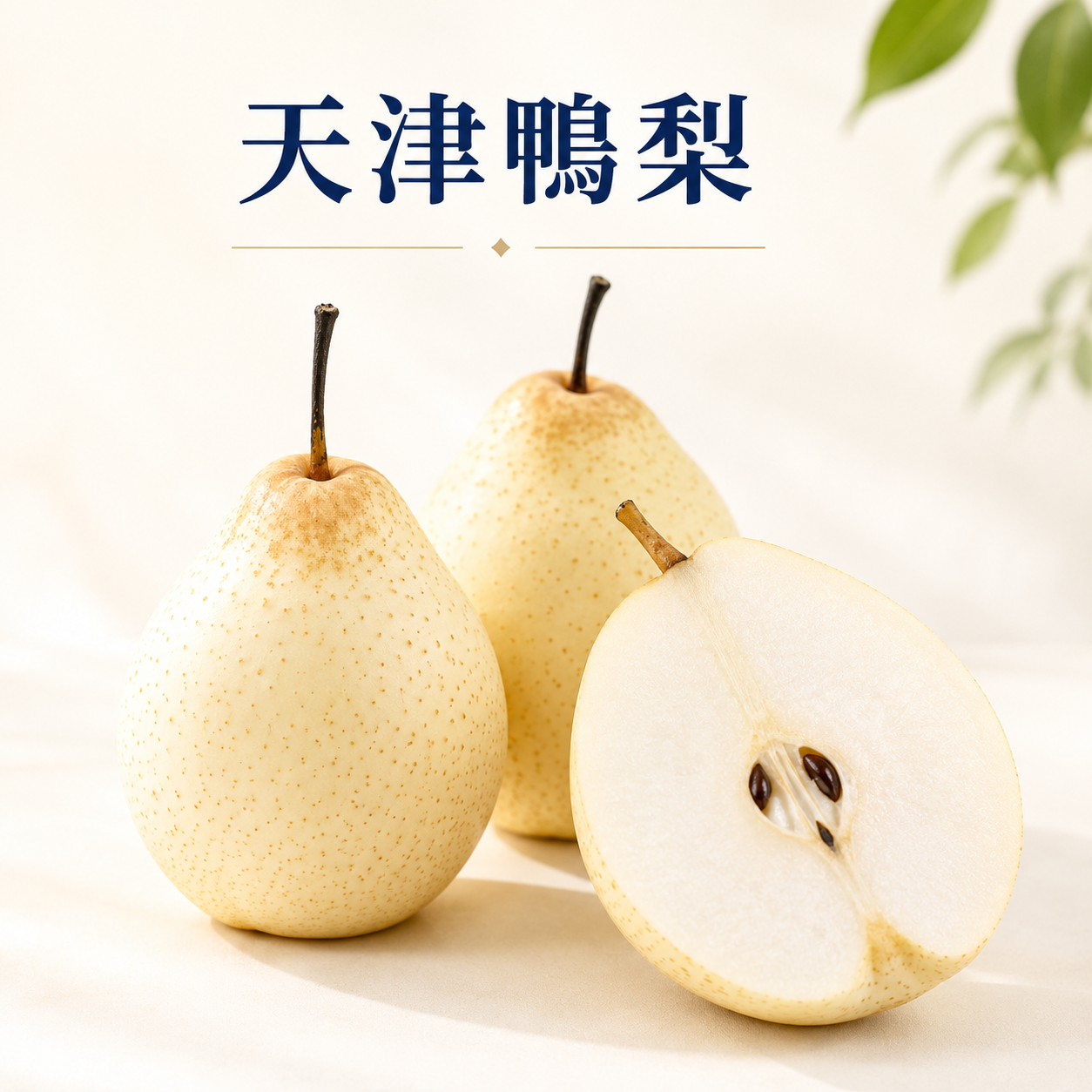 天津鴨梨(4個)