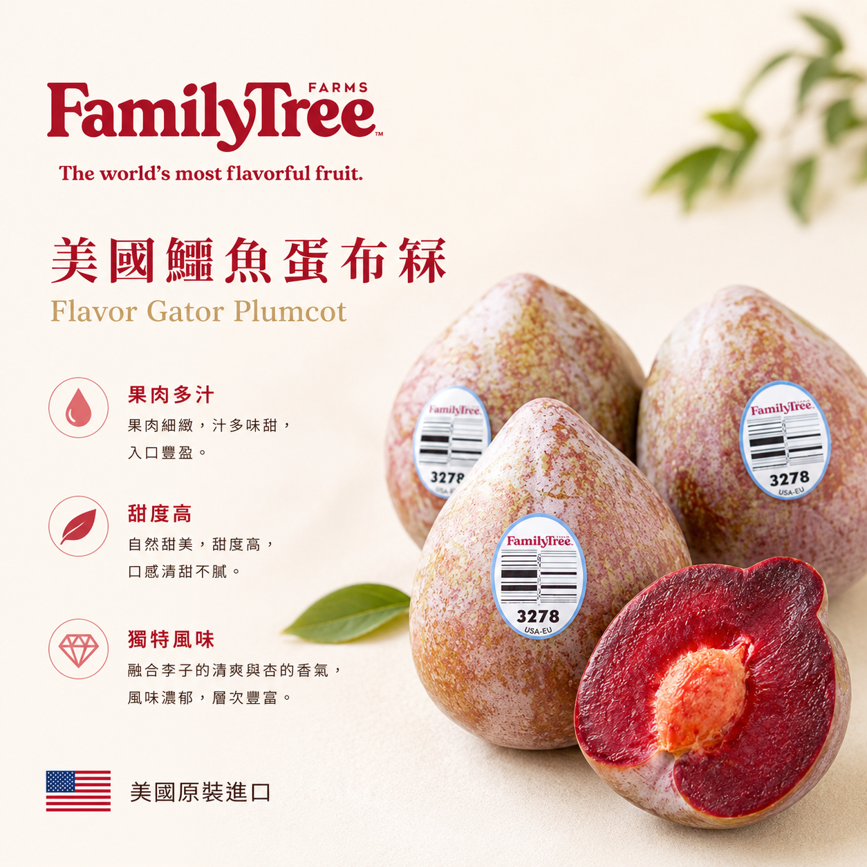 美國鱷魚蛋布冧(28-32個)-1盒