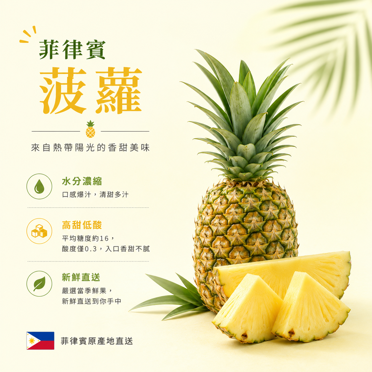 菲律賓菠蘿(每個)