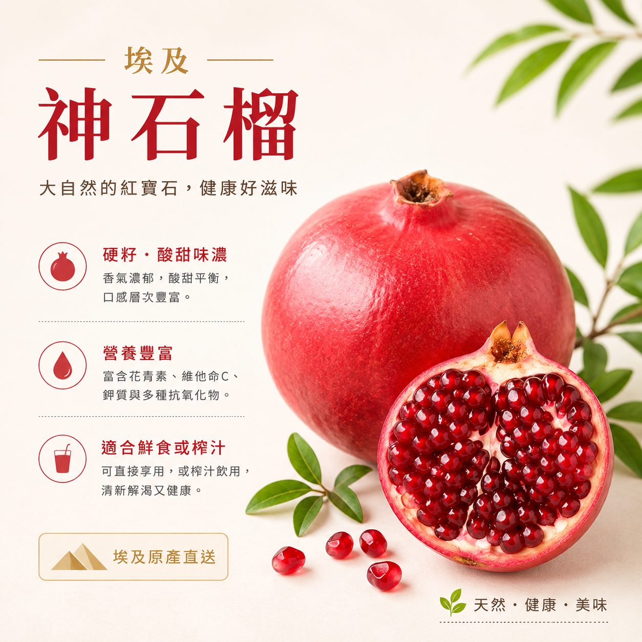 埃及神石榴(1個)