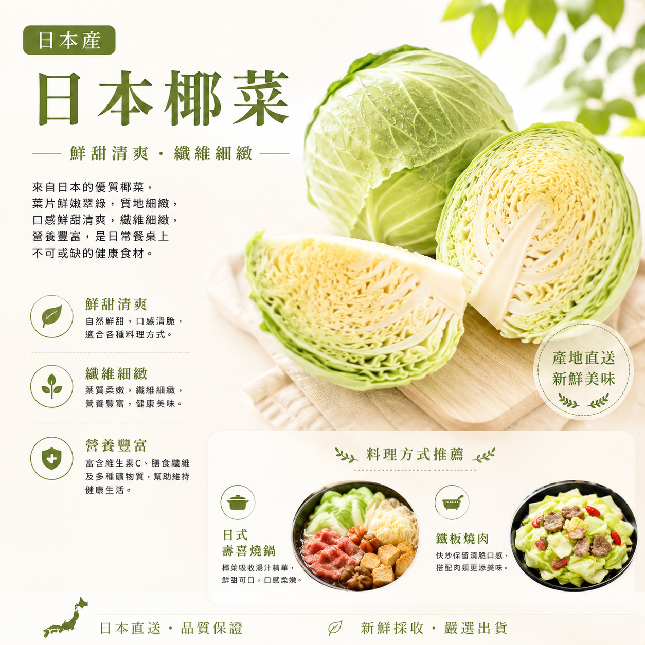 日本椰菜(約800G)-1個