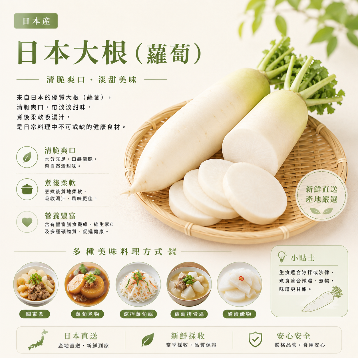 日本大根(蘿蔔)(1-1.2K)-1個