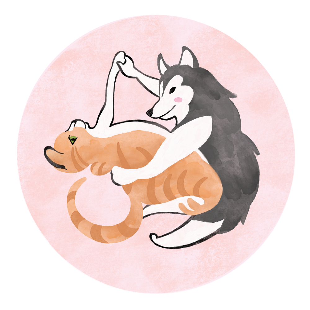 Dog and Cat Illustration