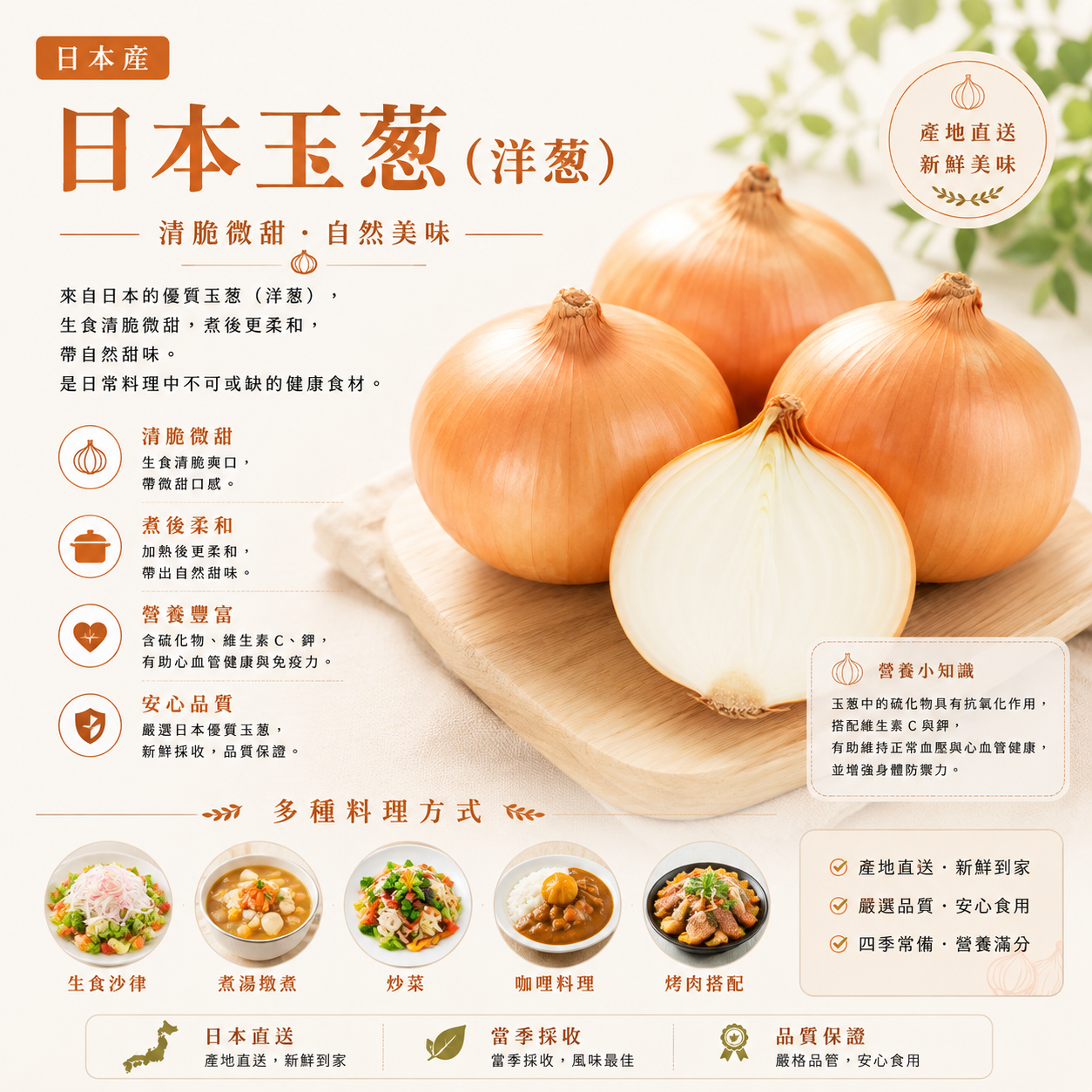 日本玉葱(洋葱)(550G-3個)-1包