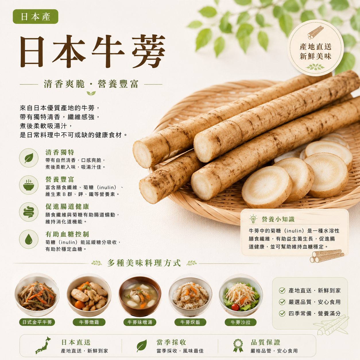 日本牛蒡(180-200G)(2條)-1包