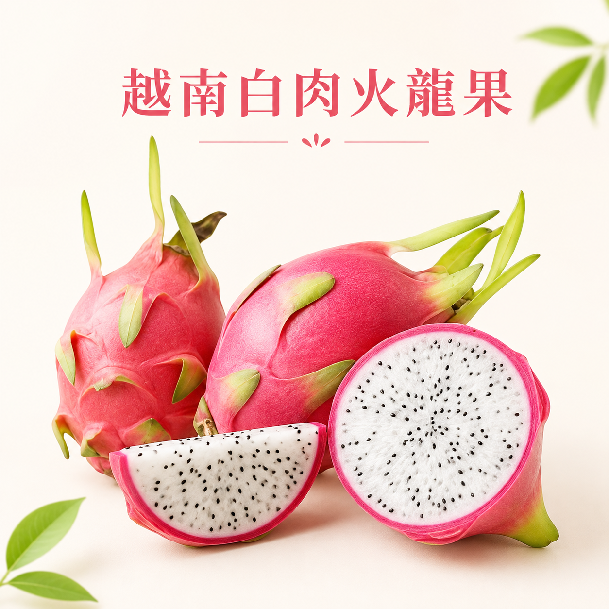 越南白肉火龍果(2個)