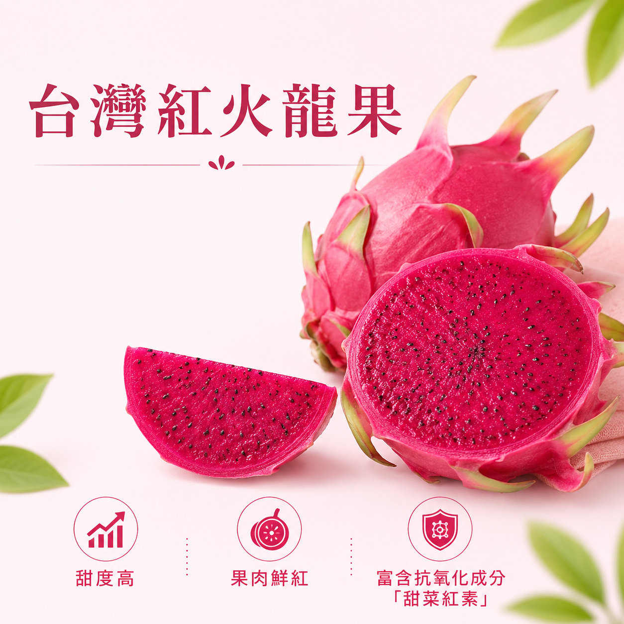 台灣紅火龍果(2個)-1包