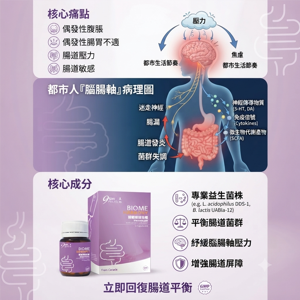 腦腸軸與腸道敏感病理圖