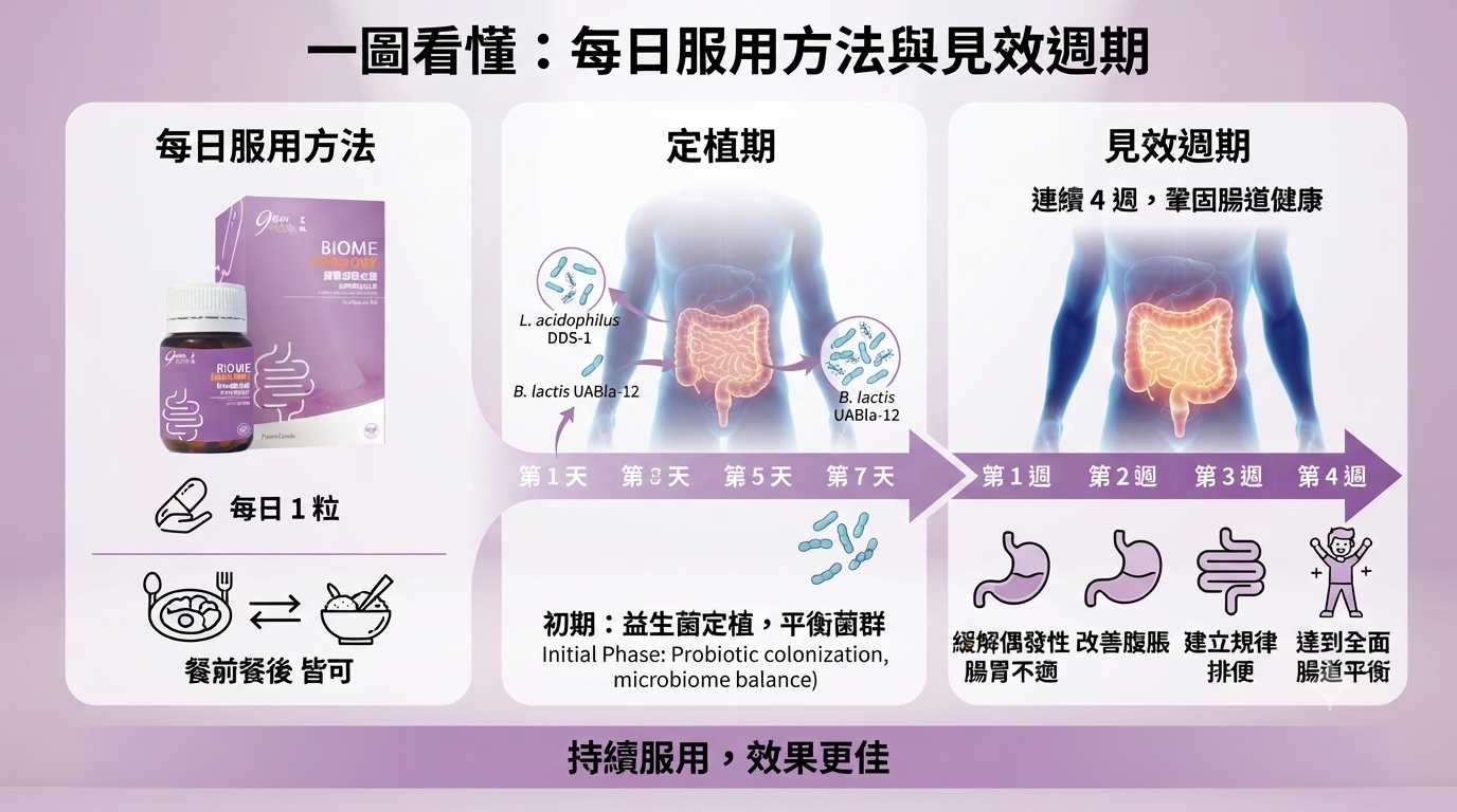 每日服用方法與 4 週見效週期圖