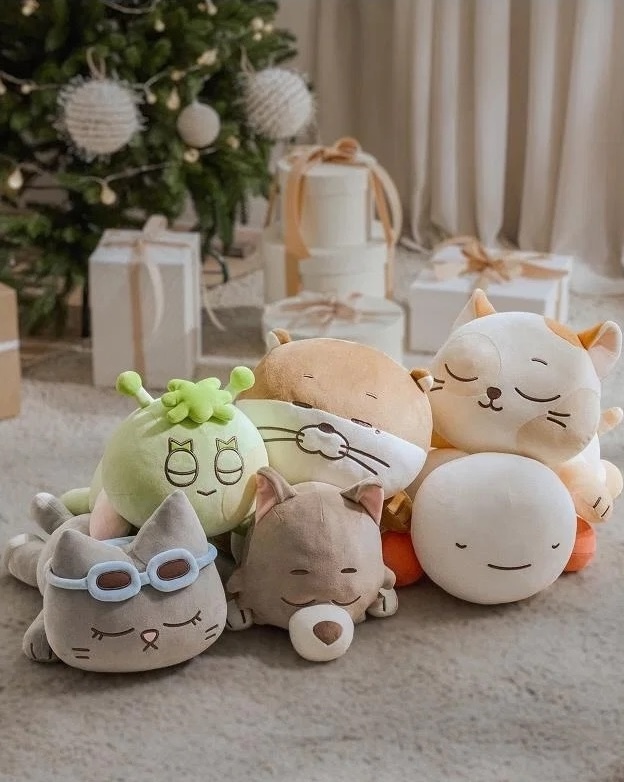 在台現貨｜BOYNEXTDOOR 波捏豆 BBNEXDO 抱枕 [is Coming to Town] OFFICIAL MD Cushion