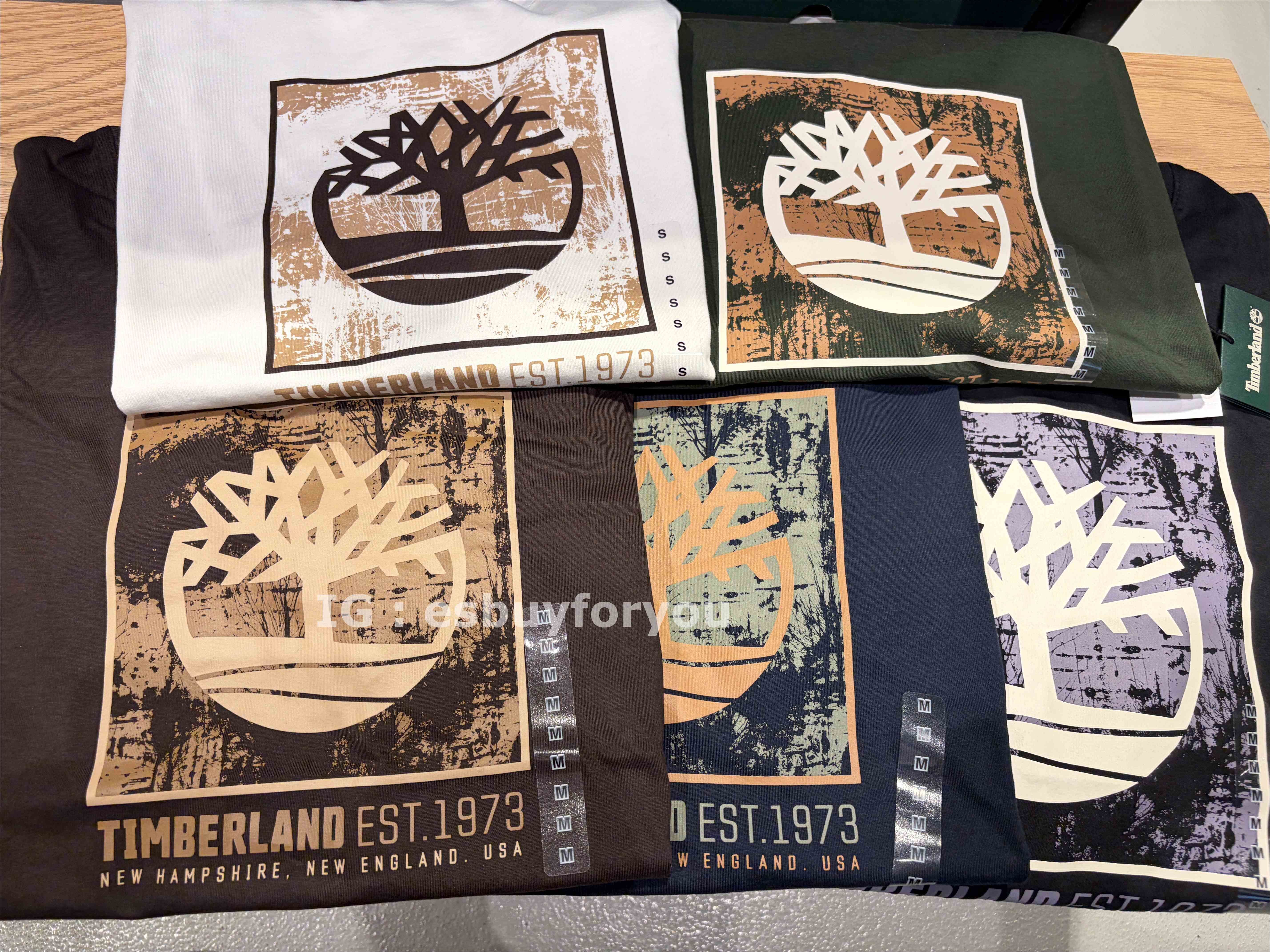Timberland 大人 造型BOX圖案 短TEE (5色)