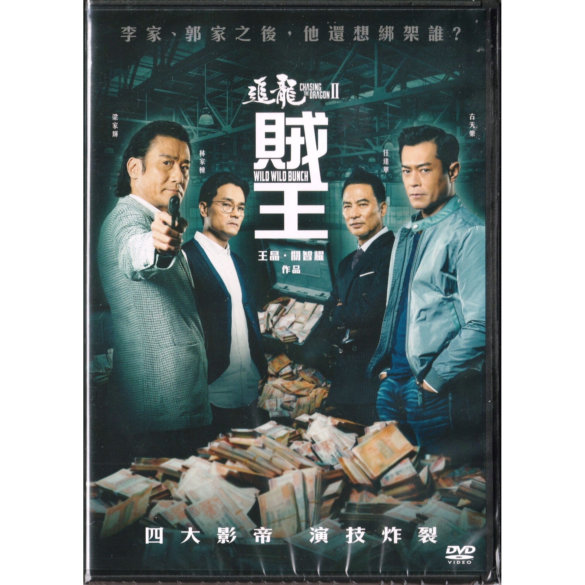 追龍II：賊王 (DVD)