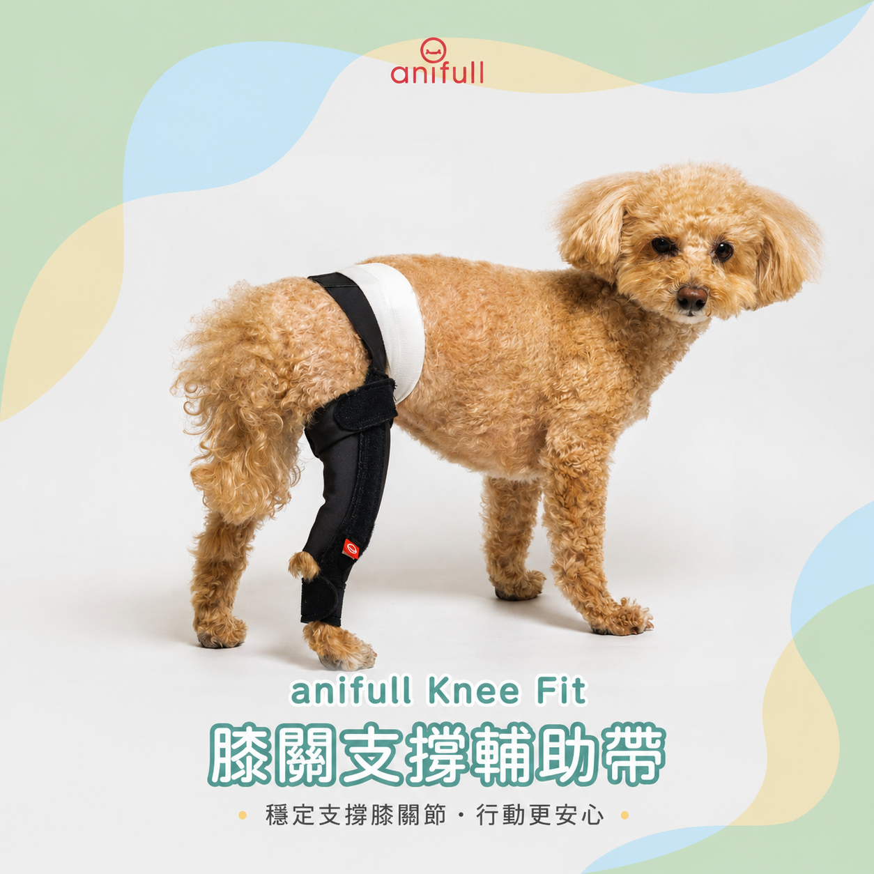 anifull 小型犬-Knee Fit 膝關支撐輔助帶