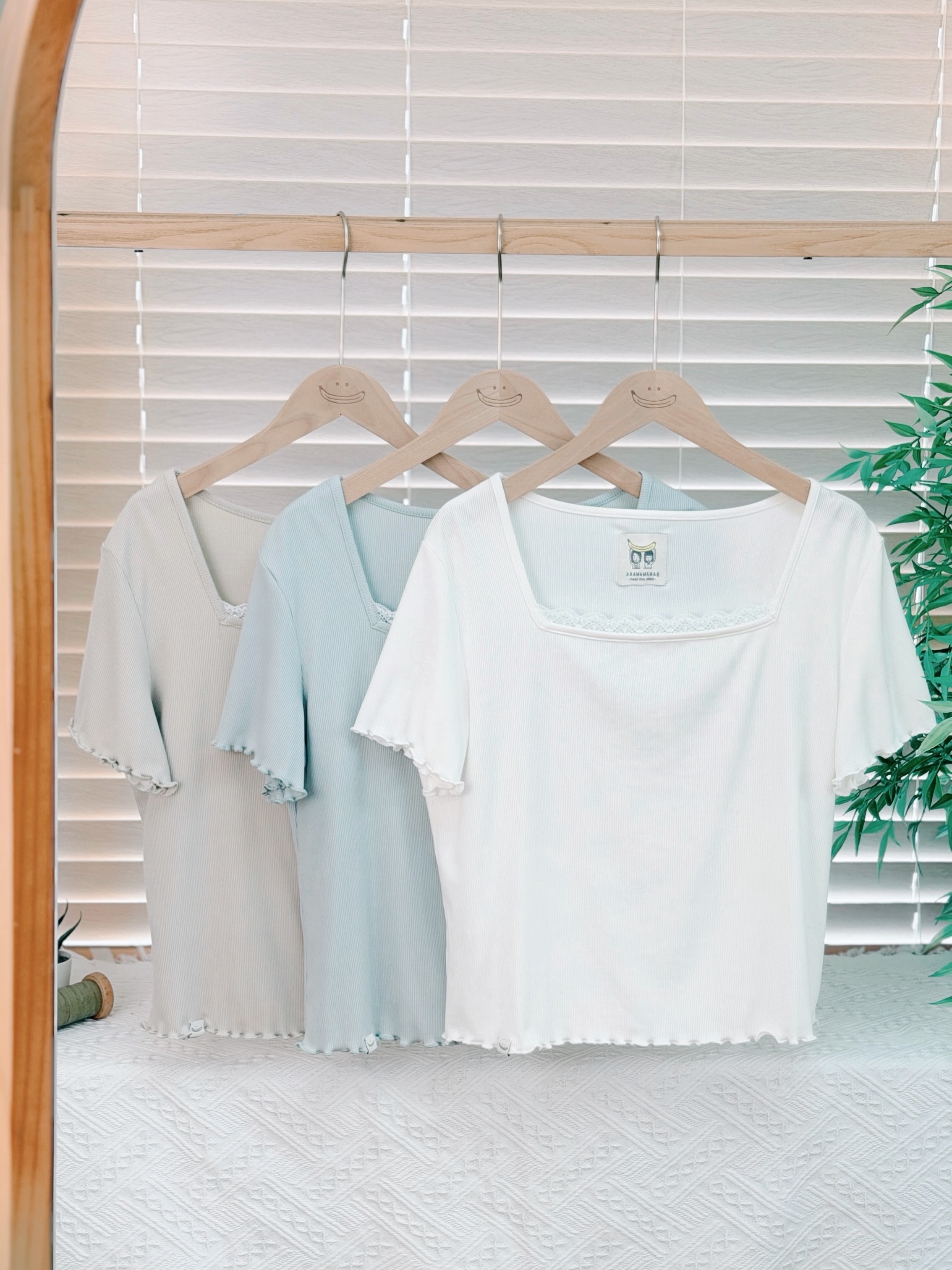 三色 / 蕾絲方領滾邊短袖上衣 / Lace-Trimmed Square Neck Ribbed Top