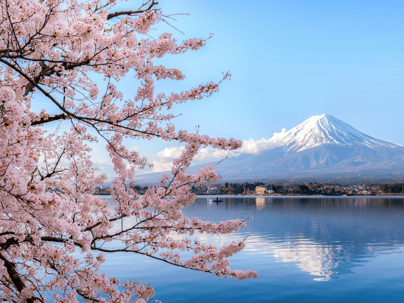 Visit Japan Web 同行家人登錄一機搞定！