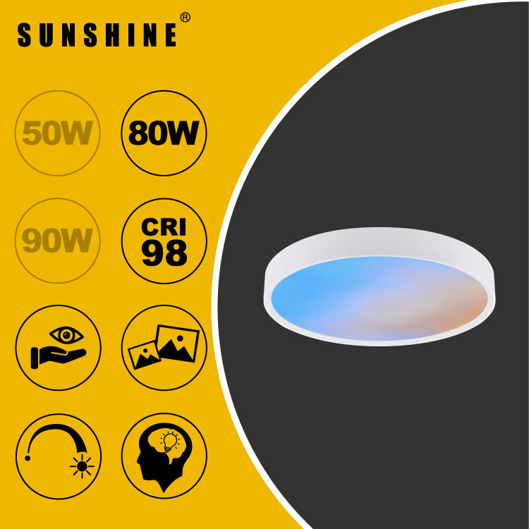 Round Smart LED Skylight SCSKYR