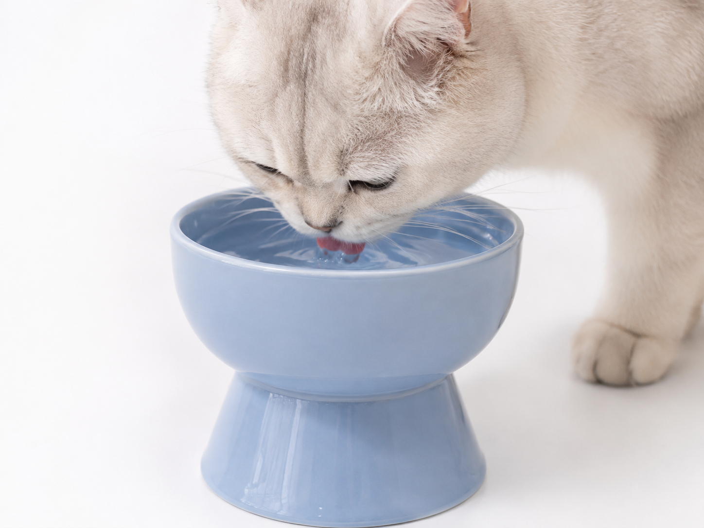HOCC PET BOWL WITH SLANTED DESIGN