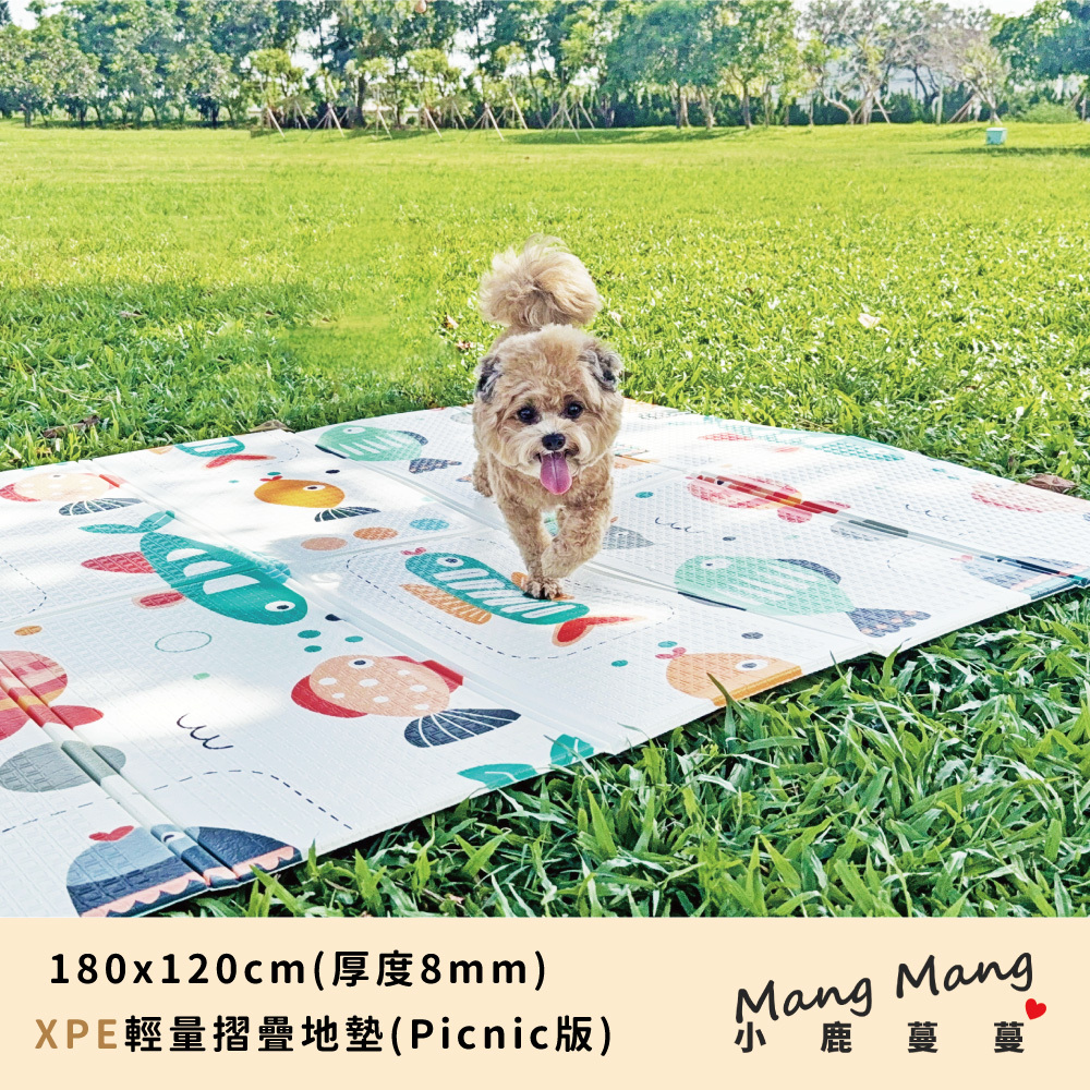 XPE輕量摺疊地墊Picnic版(旅行小魚)