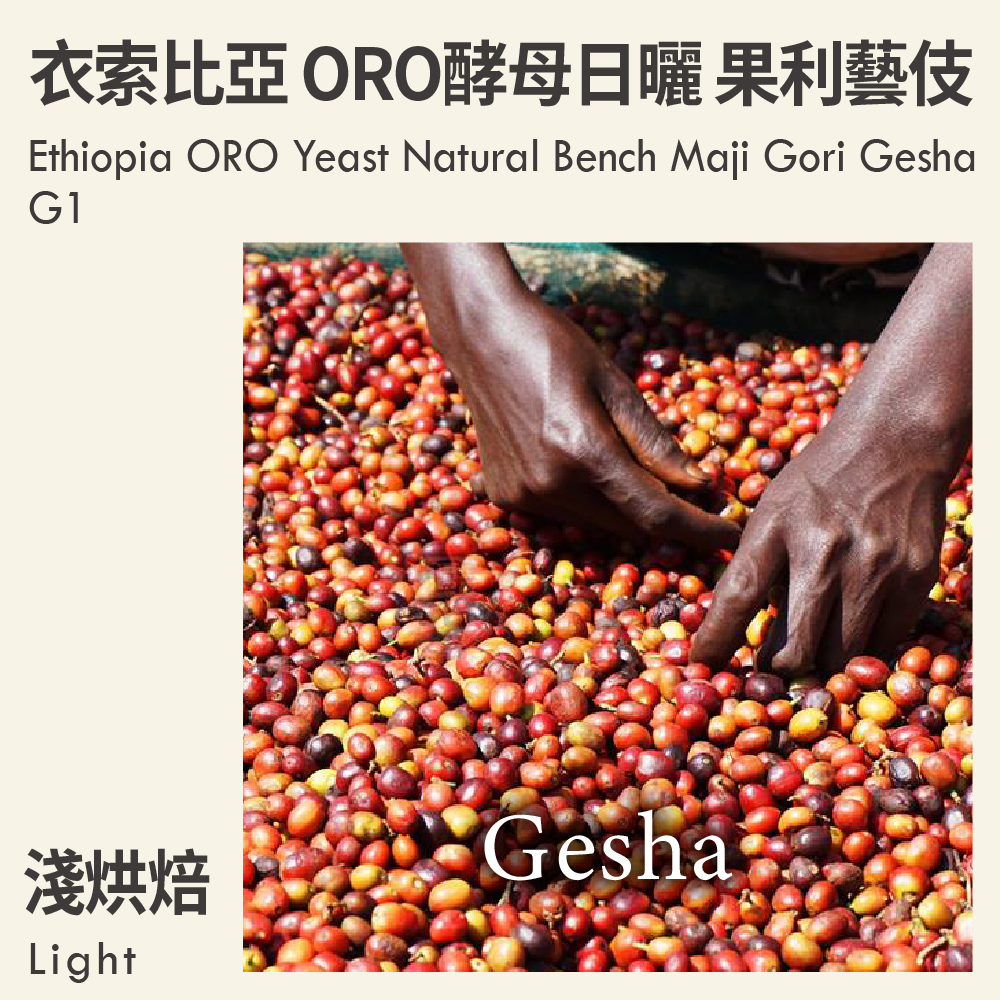 衣索比亞 ORO酵母日曬 班奇馬吉 果利藝伎 G1