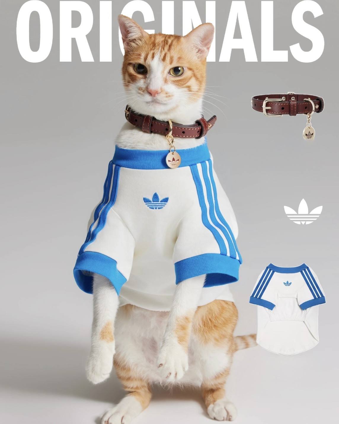 【德法連線】 ADIDAS ORIGINALS 寵物項圈 2色 IH0083