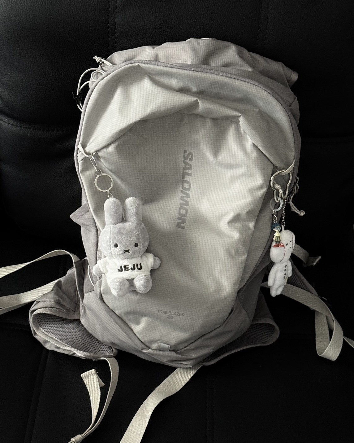 Salomon Trailblazer 輕量 健行 後背包 登山包 10L 20L 30L 兩色