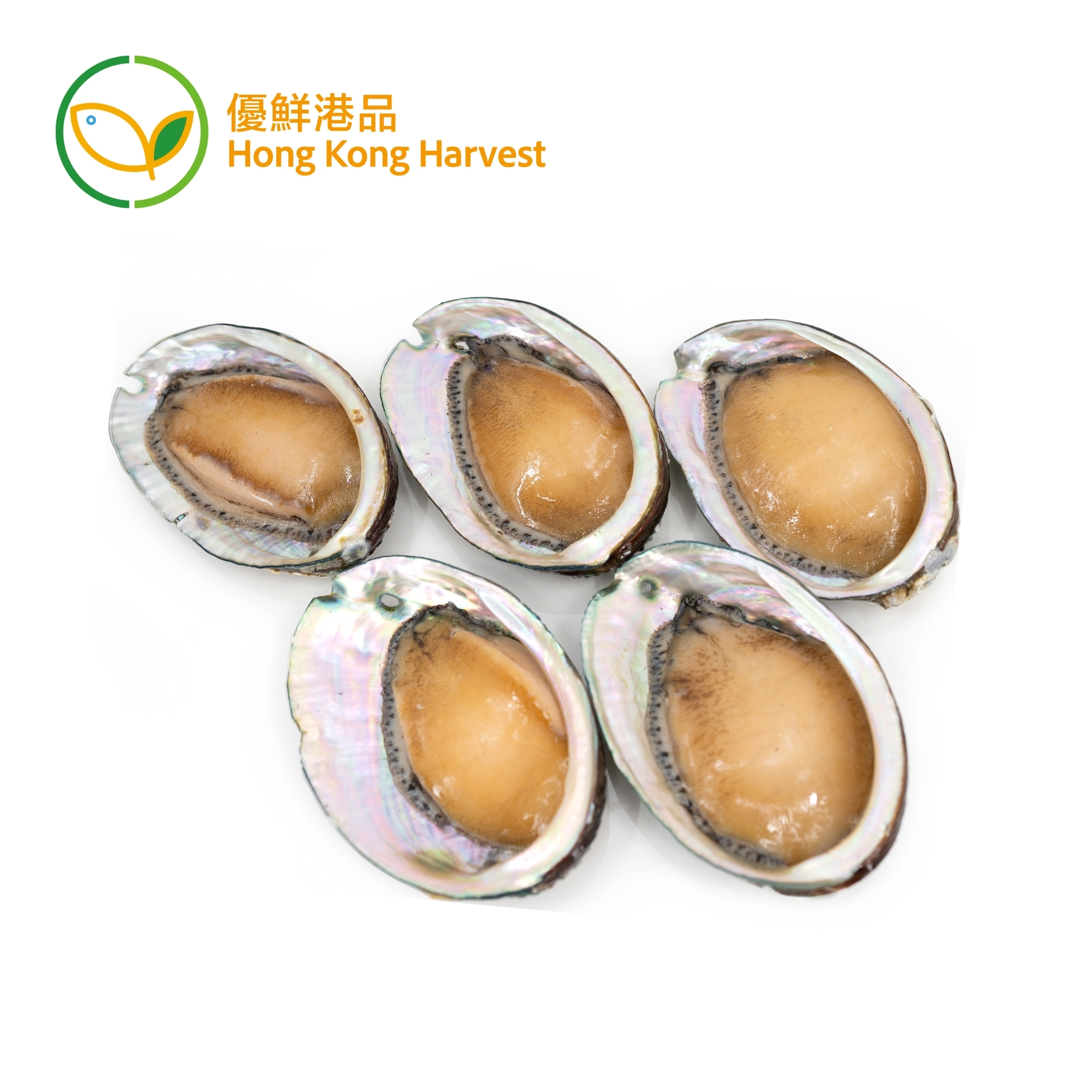 優鮮港品-本地速凍鮑魚 5 隻裝
