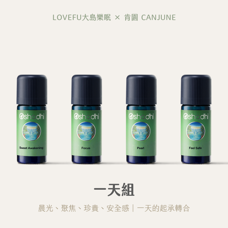 一天組 晨光聚焦珍貴安全感