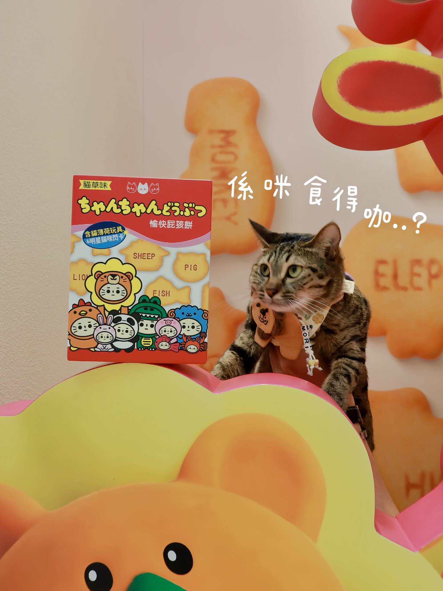 陳氏屁孩 愉快屁孩餅