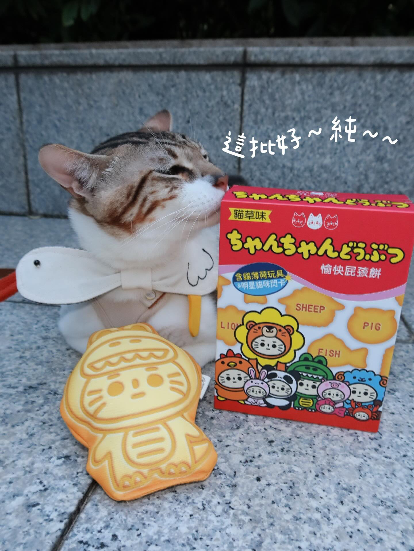 陳氏屁孩 愉快屁孩餅