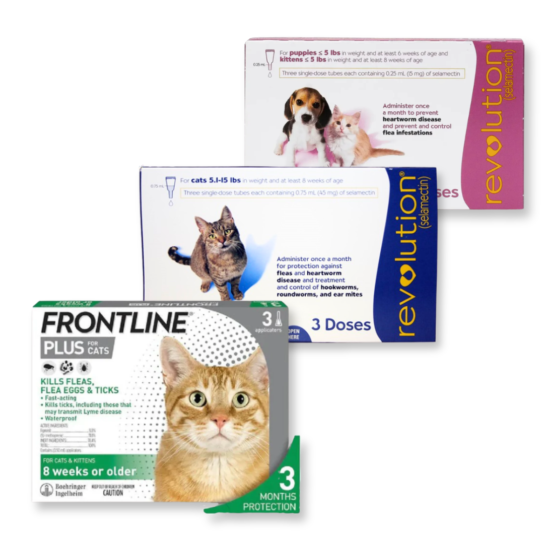 [團購] Frontline / Revolution for Cats