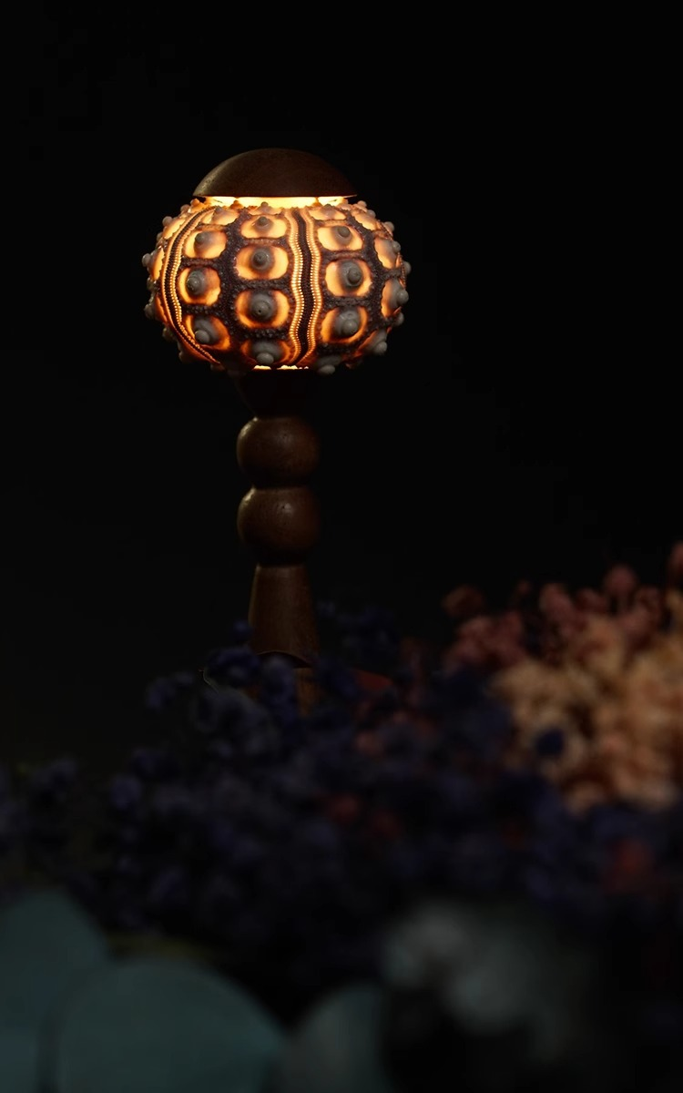 荊棘異變復古造型夜燈 / 精美海膽小檯燈 20 - 22cm
