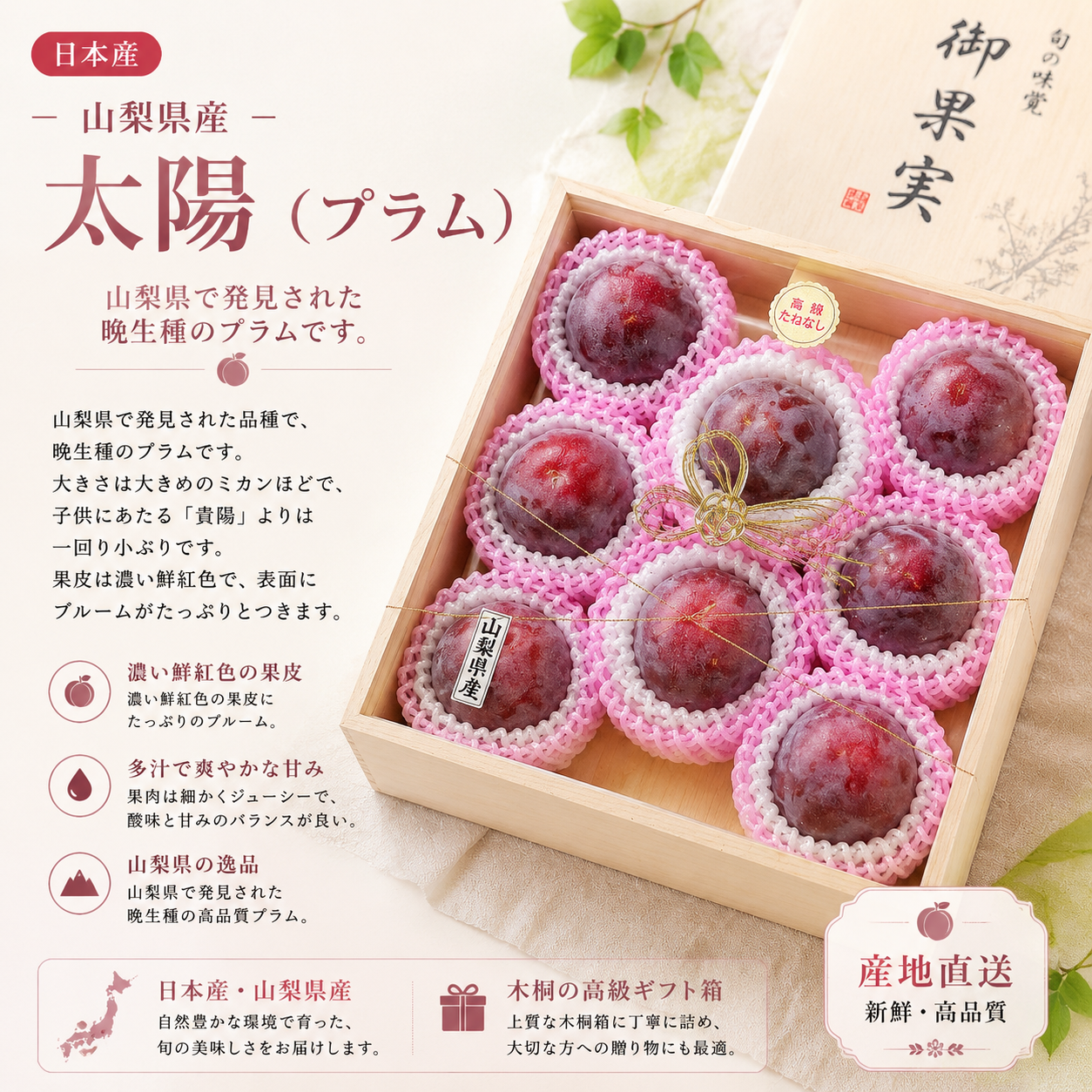 日本山梨縣太陽布冧(8個)-1盒