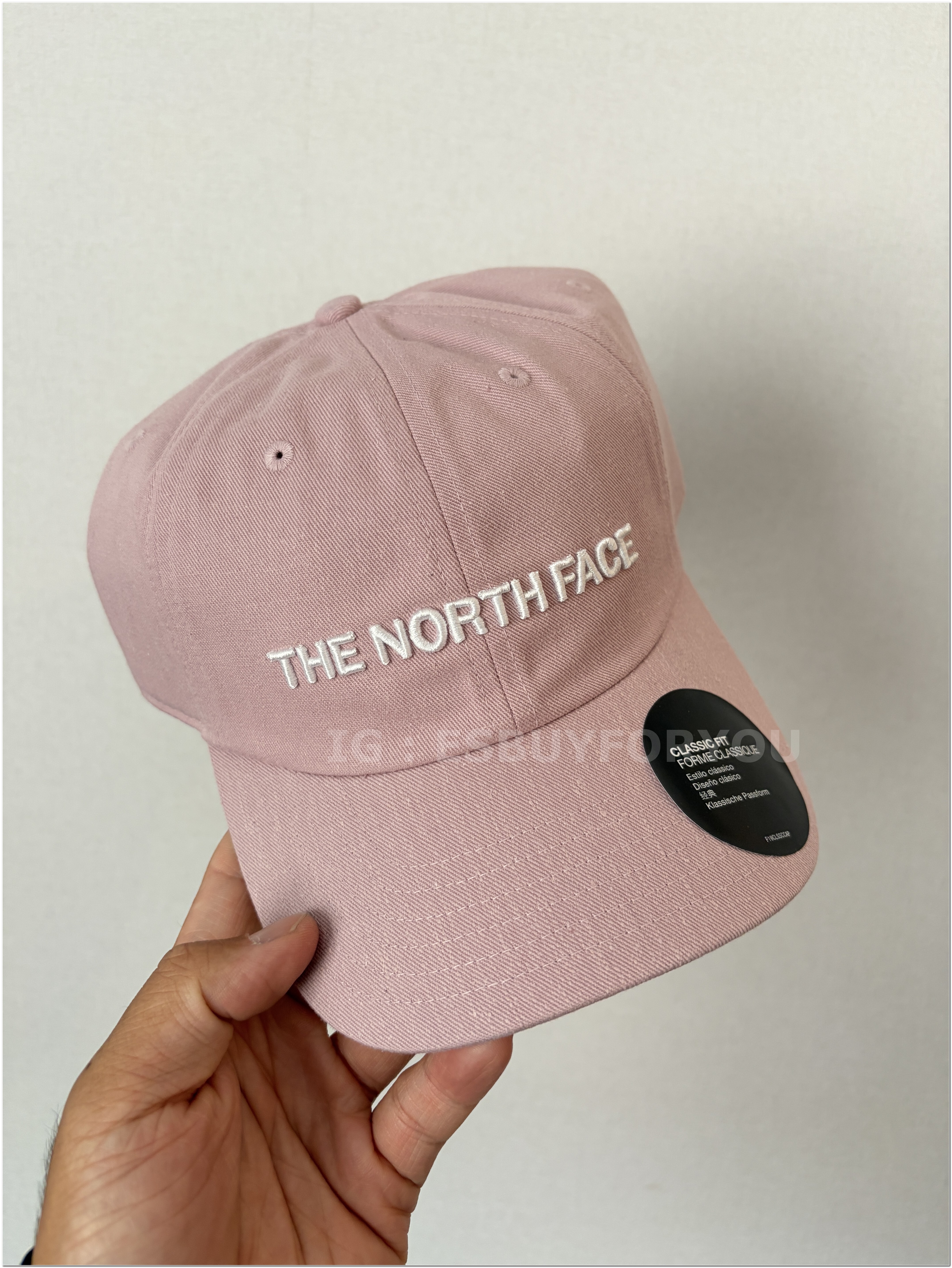 THE NORTH FACE 大人 經典立體 刺繡字樣 帽子