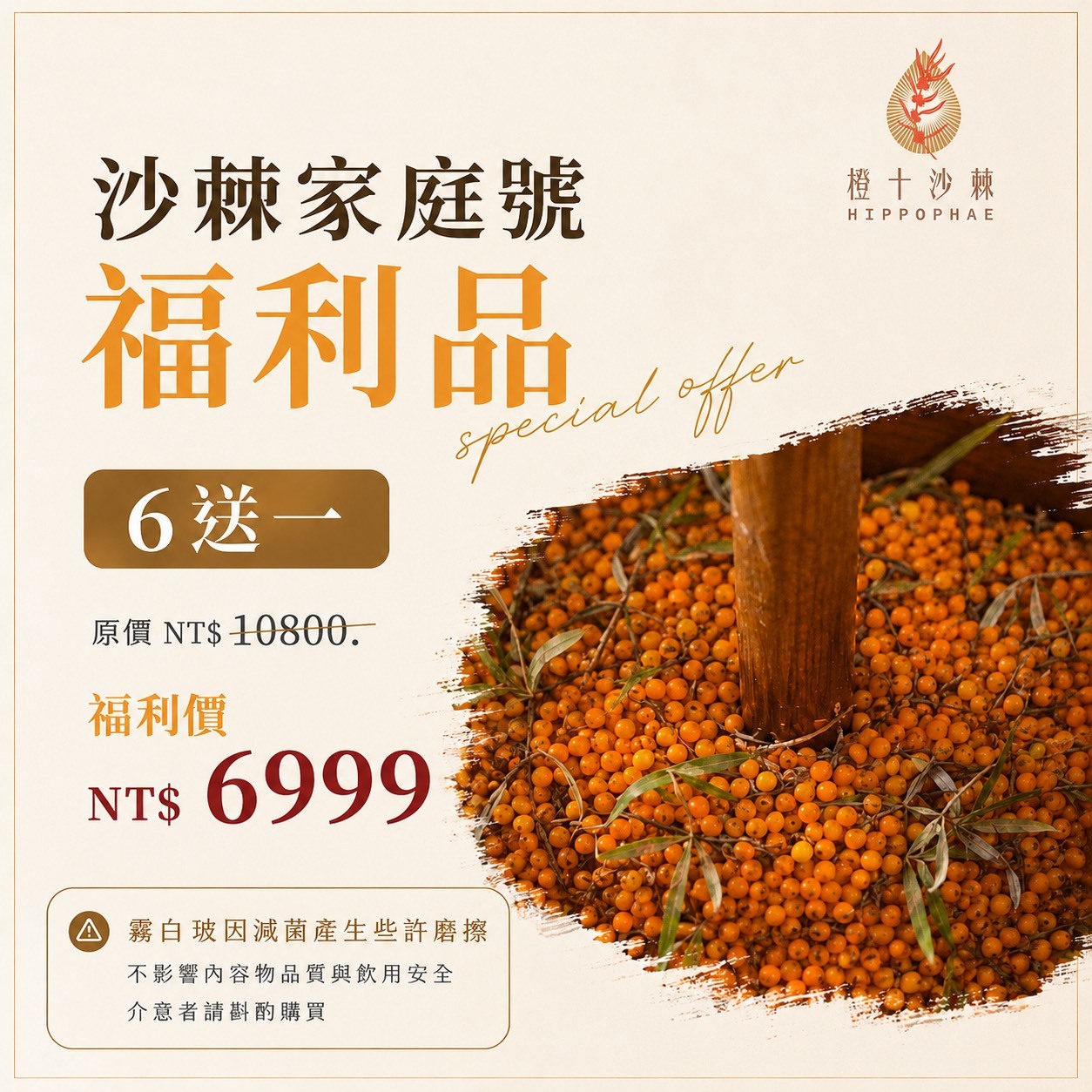 【福利品】沙棘家庭號 六送一 （霧白玻外觀微瑕疵品）