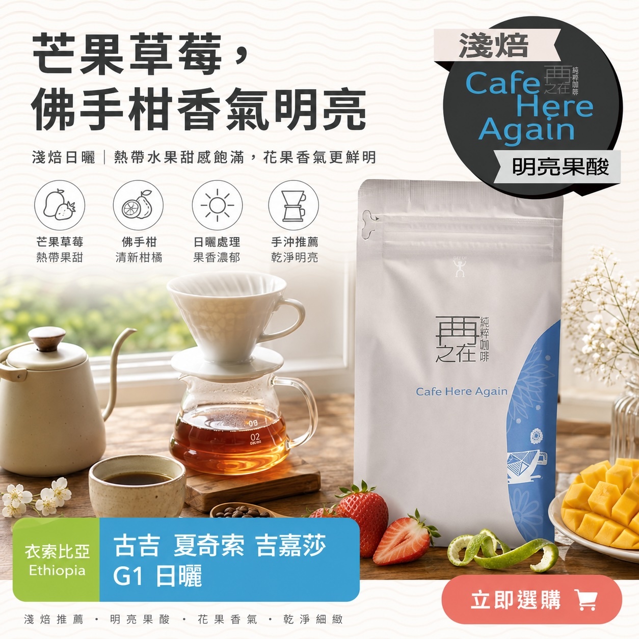 衣索比亞 古吉 夏奇索 吉嘉莎 G1 日曬