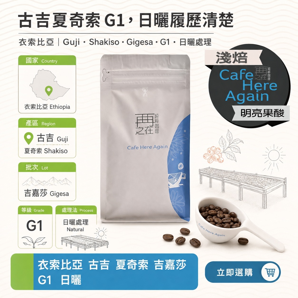 衣索比亞 古吉 夏奇索 吉嘉莎 G1 日曬