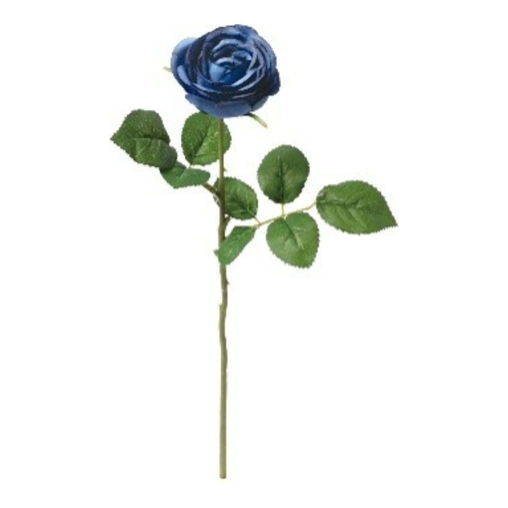 人造花單瓣花園玫瑰 深藍