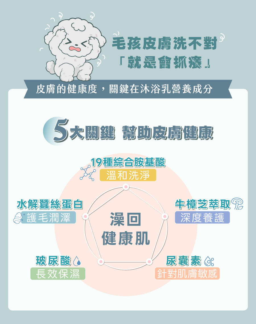 解決毛孩抓癢問題，歸毛家族舒敏洗毛乳含胺基酸、牛樟芝、玻尿酸、尿囊素與蠶絲蛋白等5大澡回健康肌成分。