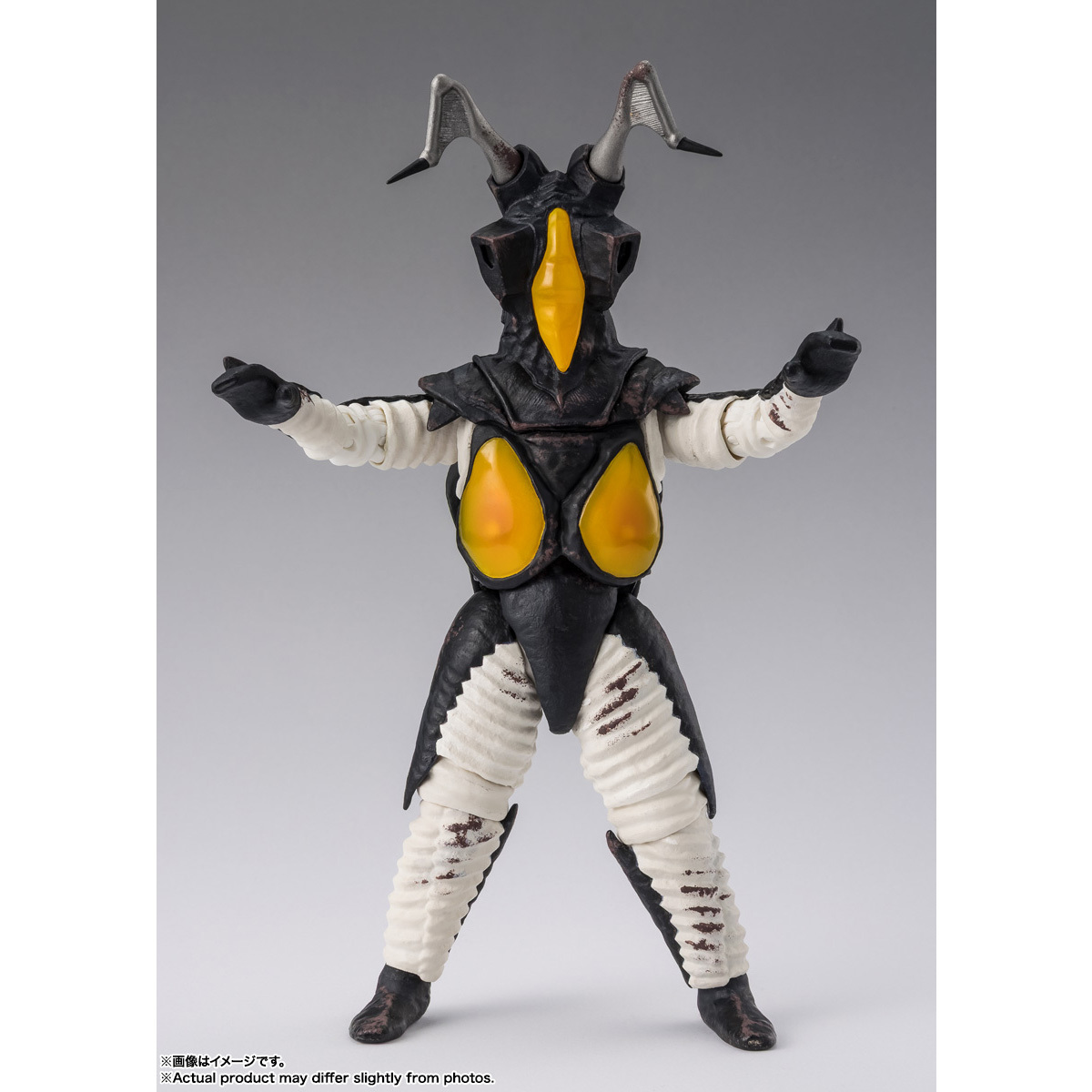 [SHF] 積頓 -60周年紀念版-