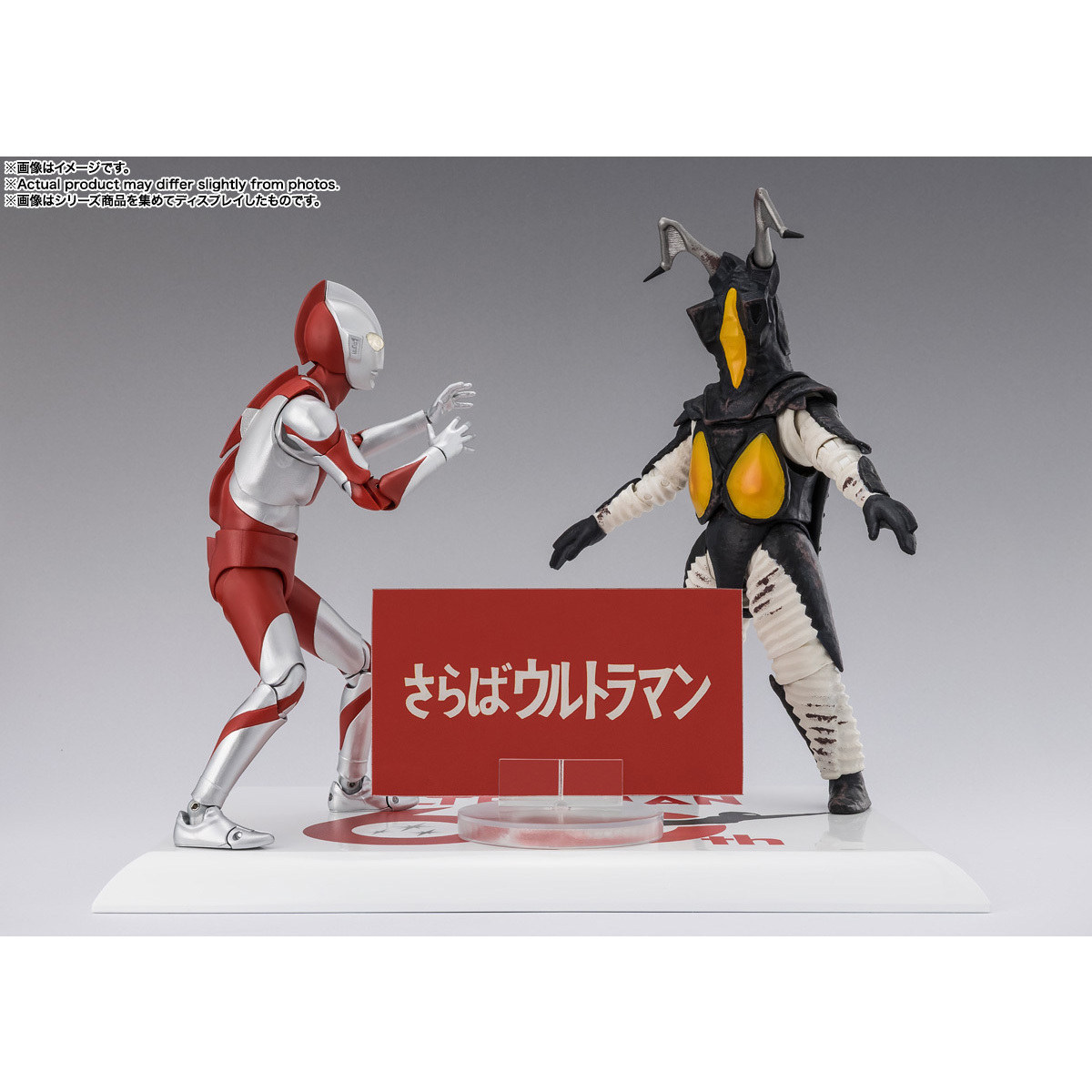 [SHF] 積頓 -60周年紀念版-