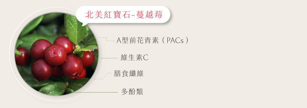 日食一善,私密處保養,私密保養,好漂亮私密膠原蛋白飲,蔓越莓,洛神花,甘露醣,預防私密感染,預防白色念珠菌,白色念珠菌