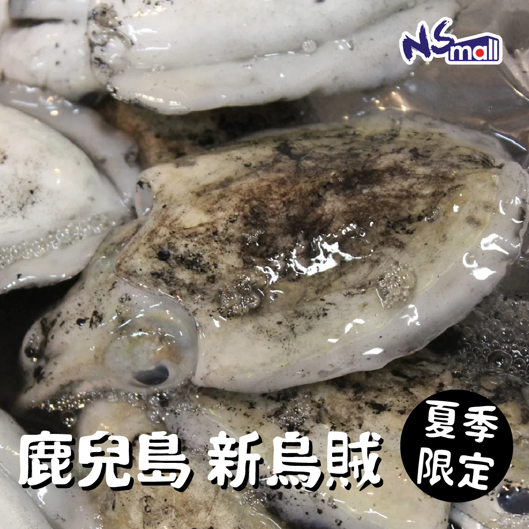 鹿兒島 新烏賊 60-80g/隻