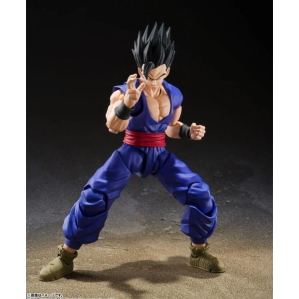 預購27/01 S.H.Figuarts 代理版 S.H.F. 七龍珠 孫悟飯 SUPER HERO