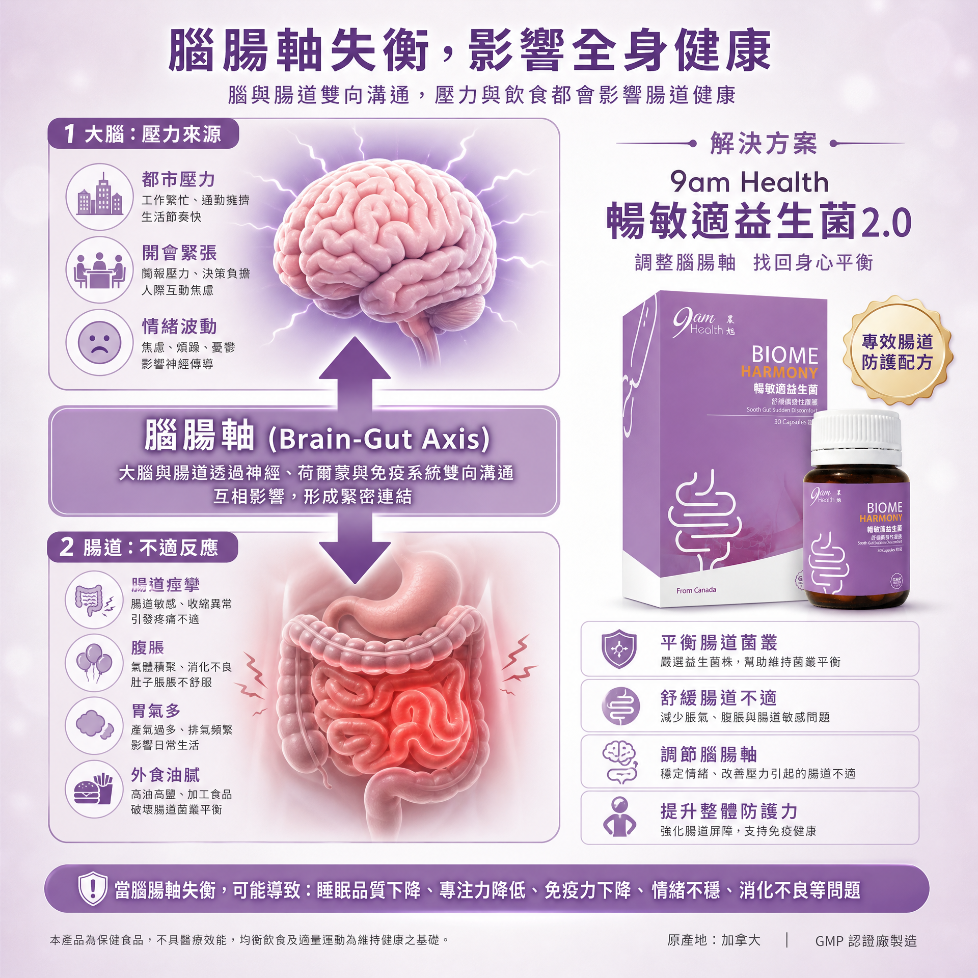 腦腸軸與腸道敏感病理圖