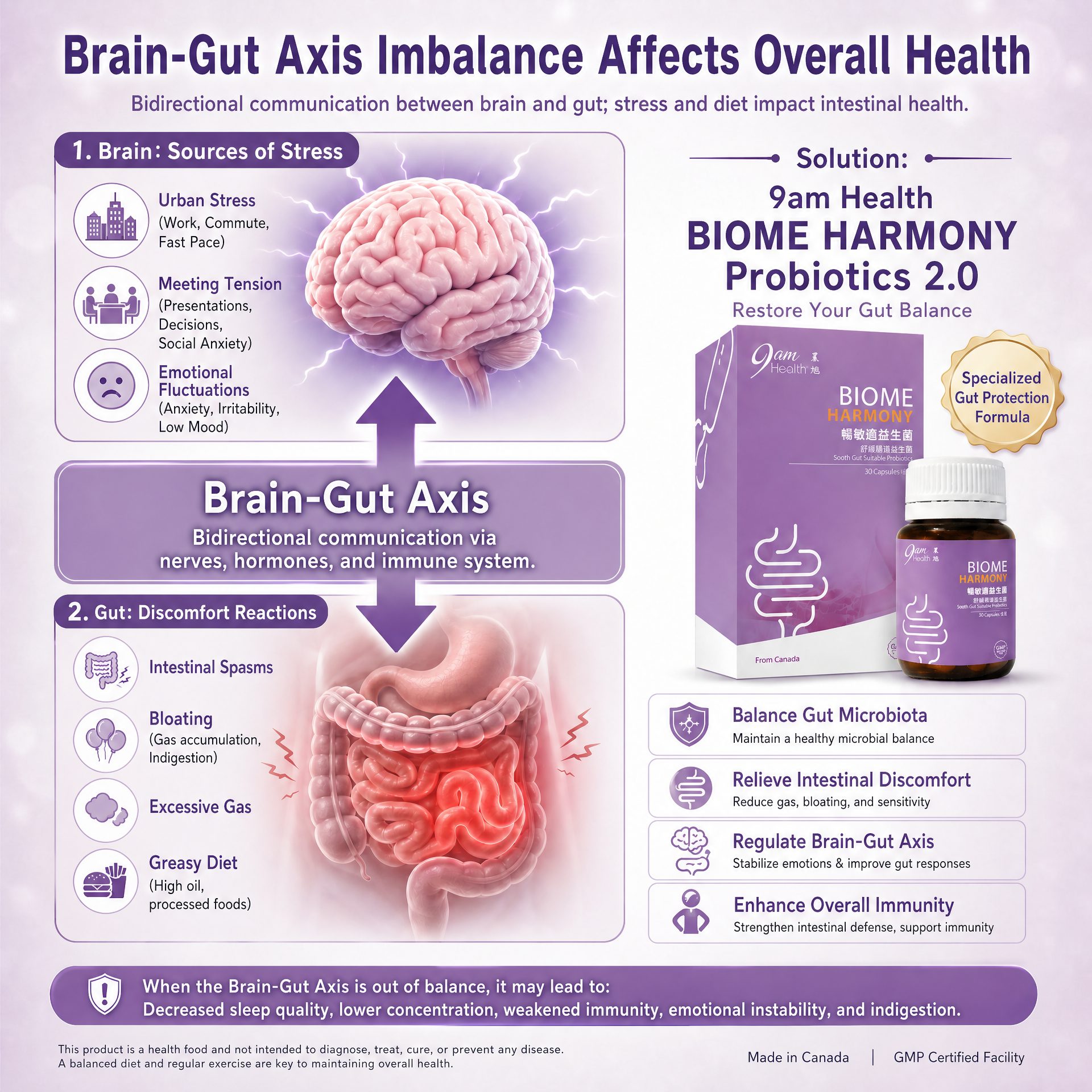 Brain-Gut Axis &amp; Gut Sensitivity Diagram